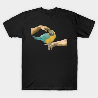 scritching a yellow macaw T-Shirt